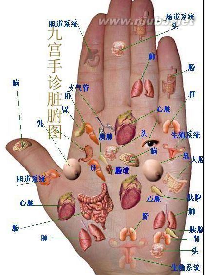 手相面相觀人專集——標準手診圖